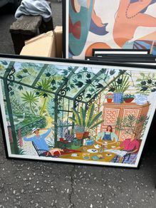 Framed Pictures