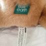 Cute lion from BBC Earth Image 3