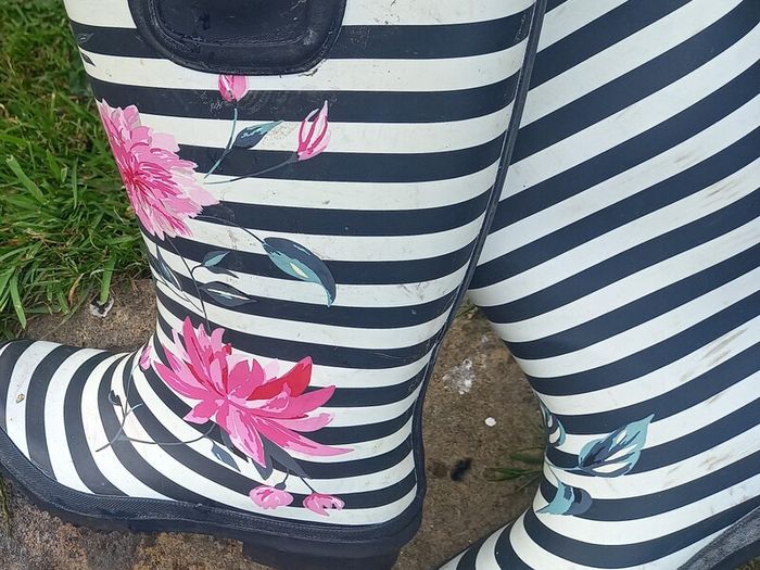 ladies wellies
