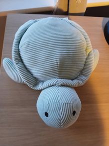 Turtle "water bottle " microwave.