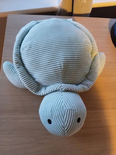 Turtle "water bottle " microwave.
