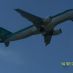 pilot11