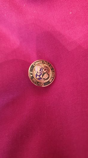 2 FAI pins