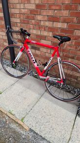 Cougar classic road racing bike