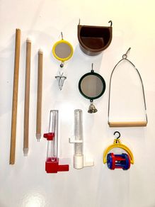 Bird Accessories set.