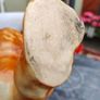 Stunning 15inch Staffordshire Lion Figure Image 6