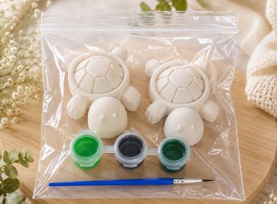 Paint Your Own Turtle Kit