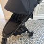 Buggy Image 4