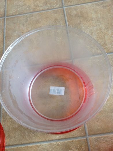 Kids fish bowl