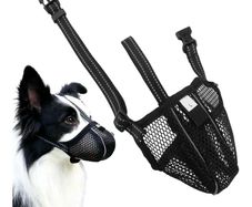 dog muzzle