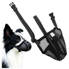 dog muzzle