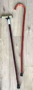 Walking sticks / cane