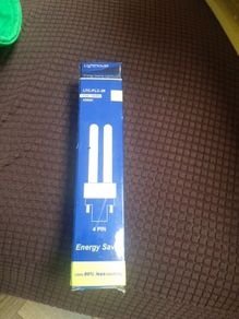 bulb