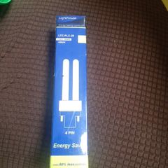 bulb