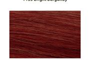 Micro Ring Hair Extensions 20" Double Drawn I Tip Remy Hair 25g - #135 Bright Burgundy