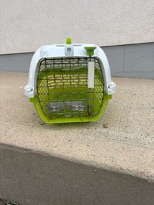 pet