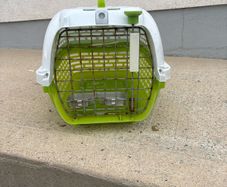 pet