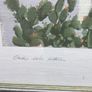 Art - Coloured Print . Image 5