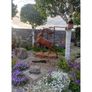 Rusty Stag  D8887 Image 3