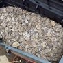 Free plum slates Image 3