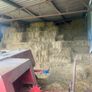Small square bales of hay Image 2