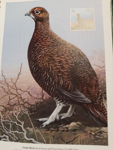 Vintage An Post stamp diary 1995