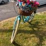 Blue Cruising Bike Image 6