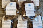 Irish moss organic Carrageen seaweeds 100 % natural superfood