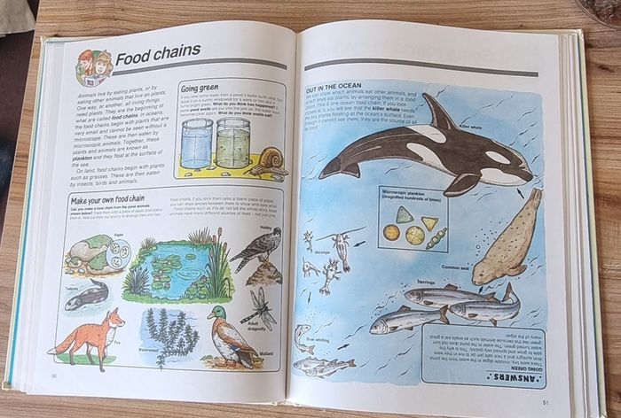 children book