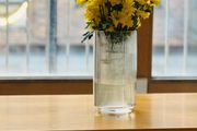 vase
