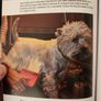 West Highland White Terrier.manual And Reference Guide.  Hardback In Good Condition. Image 7