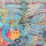 !!! (chk chk chk) - Myth Takes, Vinyl, 2xLP, 2007, Warp Image 10