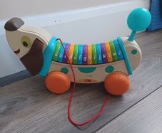 Leapfrog Wooden Alphapup Educational Toy