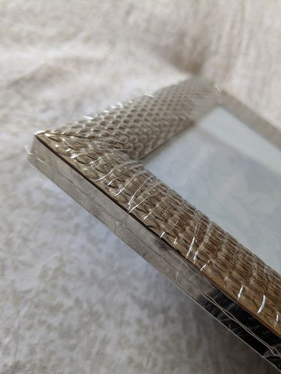 BNWT Silver Frame