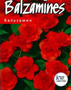 (I) Double Impatiens Fanciful Red seeds (5s) (412990)