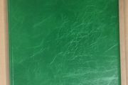 An Post Green (light green older version) First Day Cover Album (A4 Size) with 15 pages