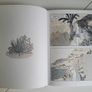 Eileen Gray A House Under the Sun by Charlotte Malterre Barthes and Zosia Dzierzawska Image 6