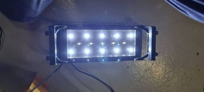 Aquarium lights