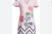 Rare Ted Baker - Jareye Dress - UK 8 - Dusky Pink - BNWT Cost 240