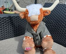 Build a Bear teddy