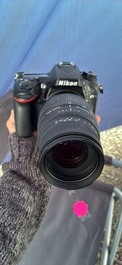 nikon d7100 with Sigma 70-300mm F/4-5.6 DG Macro
