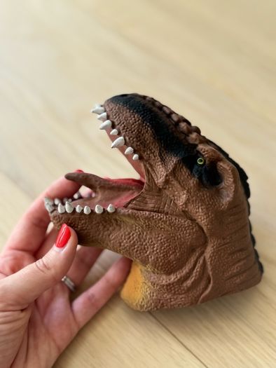 Dinosaur collection for kids
