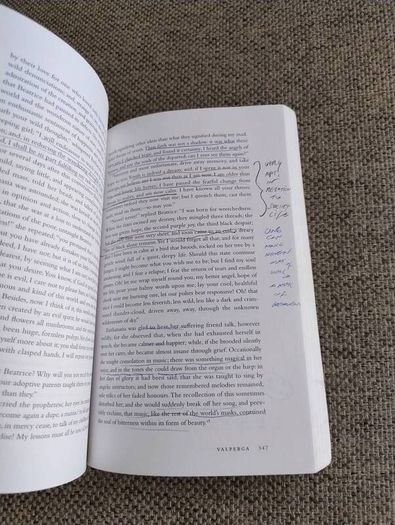 Valperga by Mary Shelley edited by Tilottama Rajan 1998 in good overall condition with some underlining and notes on some pages see photos FREE STANDARD POSTAGE INCLUDED