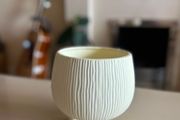 selection of planters