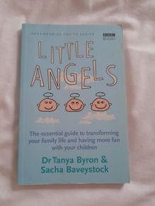 Baby development book 'Little Angels'