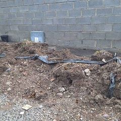 Free top soil