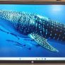 Hp Probook 455 G8 Notebook Pc - Ryzen 5 5600u - 16gb Ram - 256gb Nvme Image 6