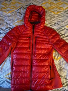 canada goose hybrid