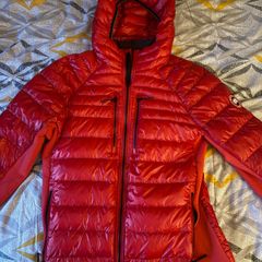 canada goose hybrid