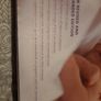 Your pregnancy BIBLE baby weekly fetal development Image 4